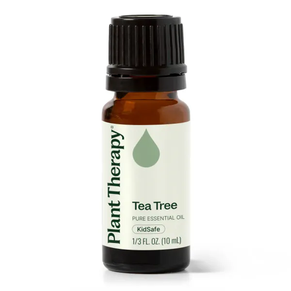 Hovedbilde Tea Tree eterisk olje, 10ml, økologisk / Plant Therapy