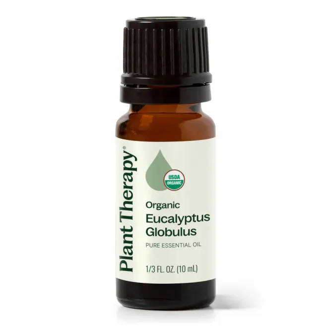 Hovedbilde Eucalyptus eterisk olje 10 ml, økologisk / Plant Therapy