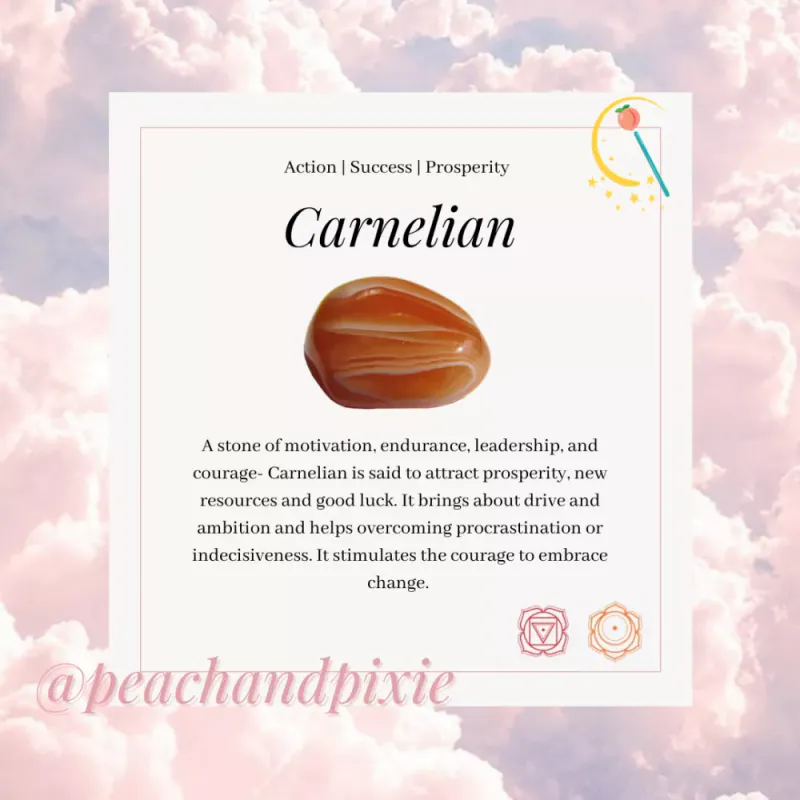 Karnerol / Peach and Pixie