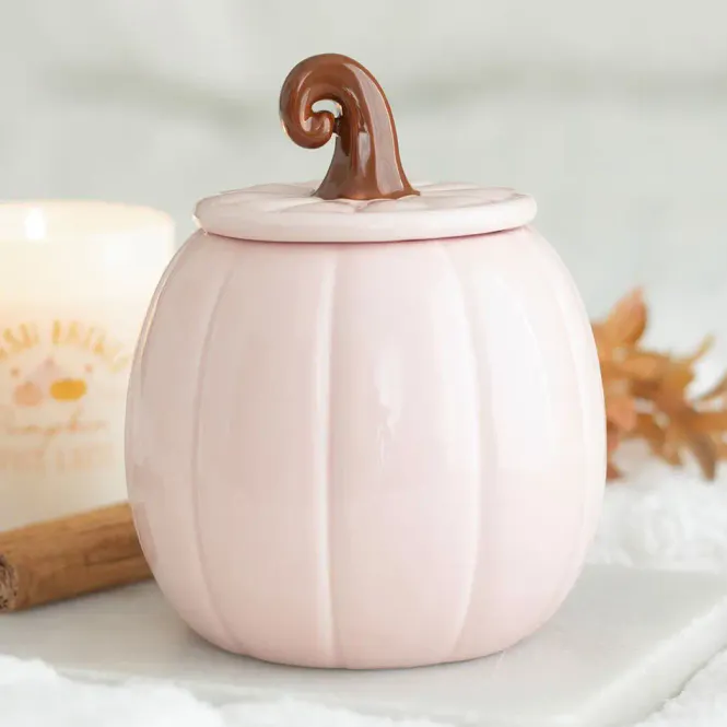 Hovedbilde Pink Curly Pumpkin Autumn Oil Burner / Something Different 