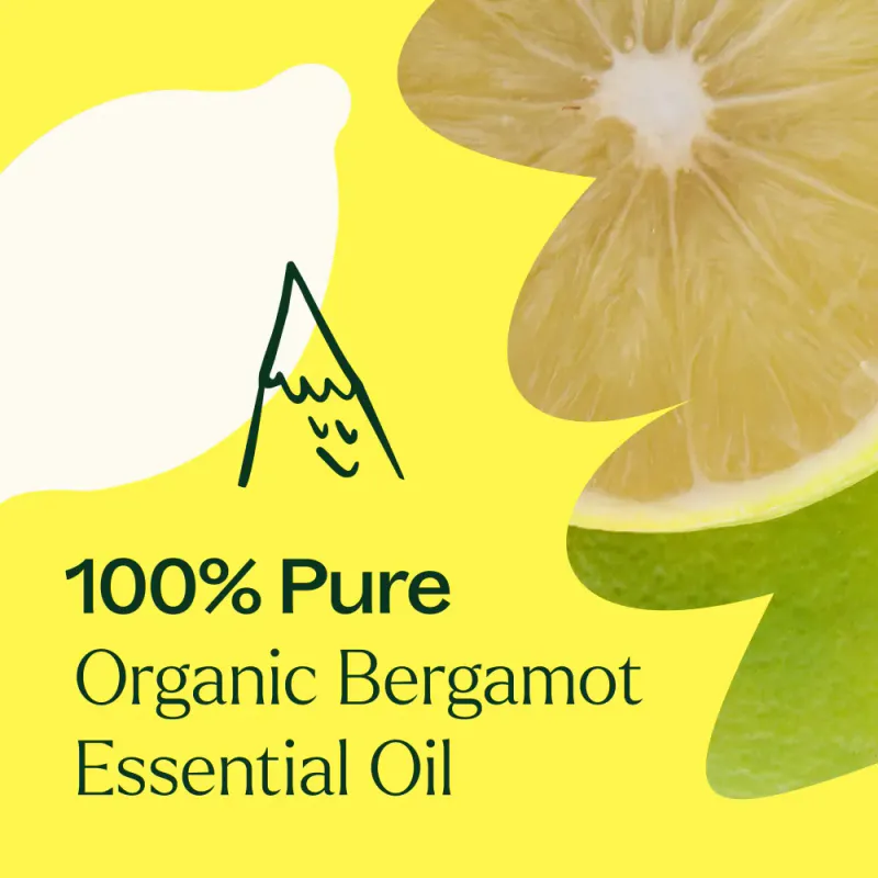 Bergamot eterisk olje 10 ml, økologisk / Plant Therapy