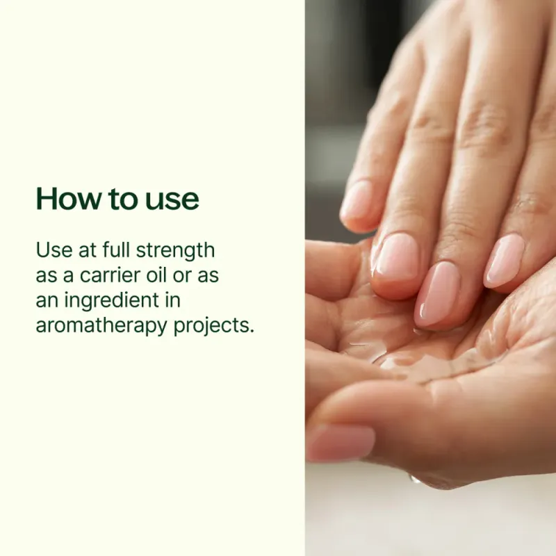 Økologisk jojobaolje 473ml / Plant Therapy