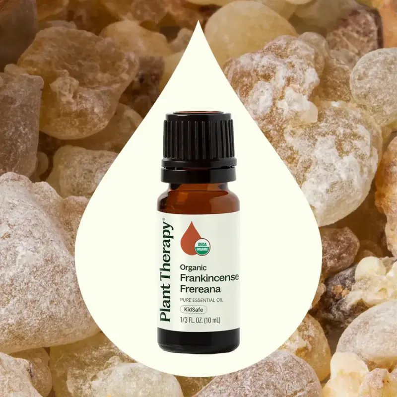 Røkelse Frereana, økologisk eterisk olje 10ml / Plant Therapy