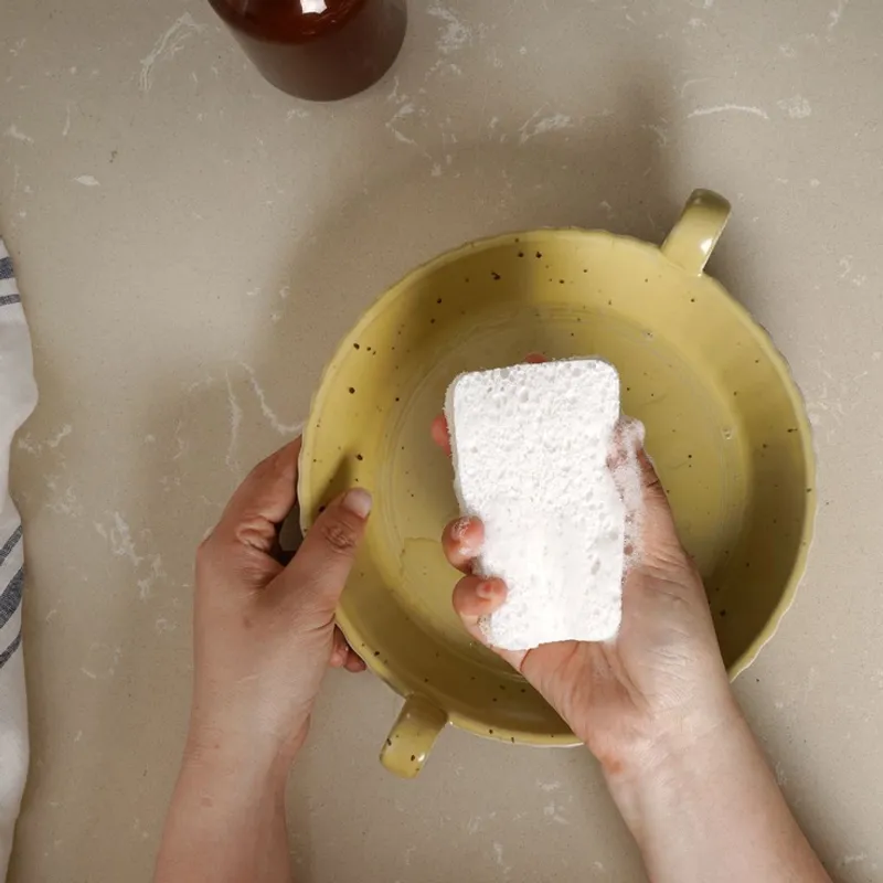 4pk Eco Dish Sponges / Jungle Culture