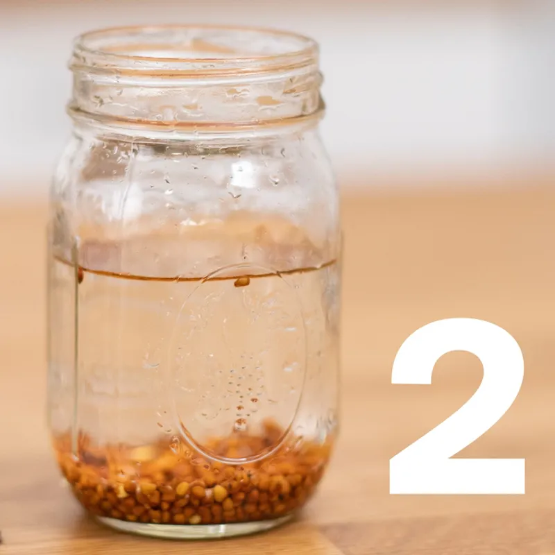 Sprout Huggers® Spirelokk, Sage Green / Food Huggers