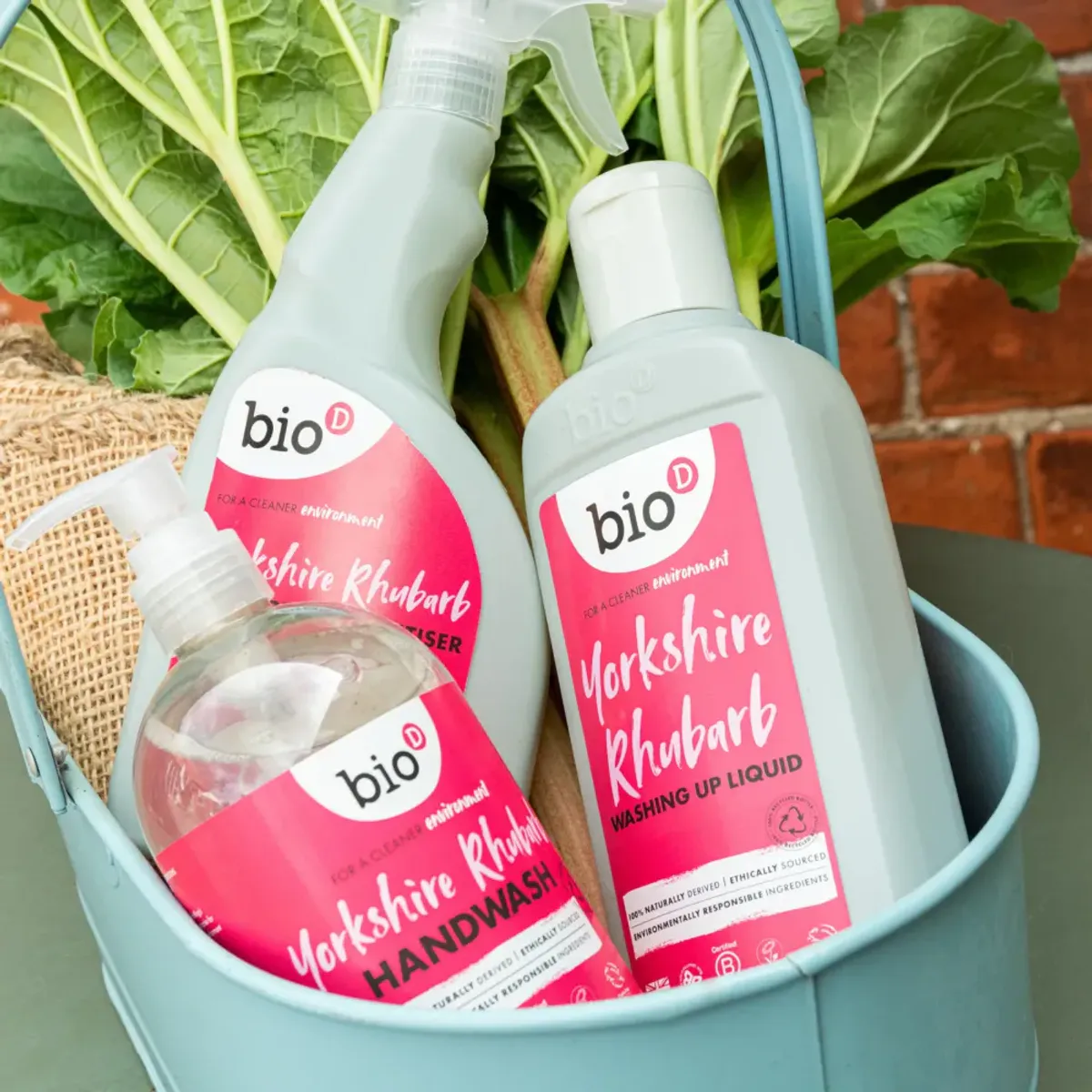 750 ml oppvasksåpe, Wild Rhubarb / Bio-D