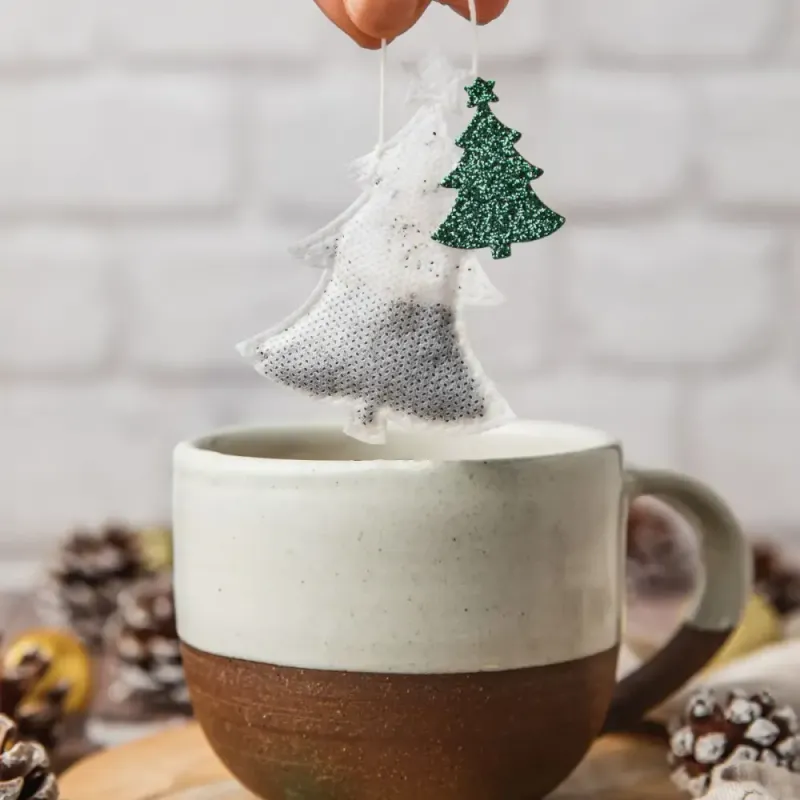 5 stk plastfrie teposer - Pumpkin Chai / Tea Heritage
