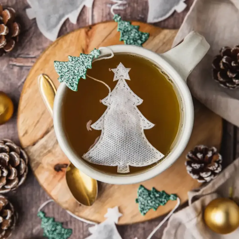 5 stk plastfrie teposer - Pumpkin Chai / Tea Heritage