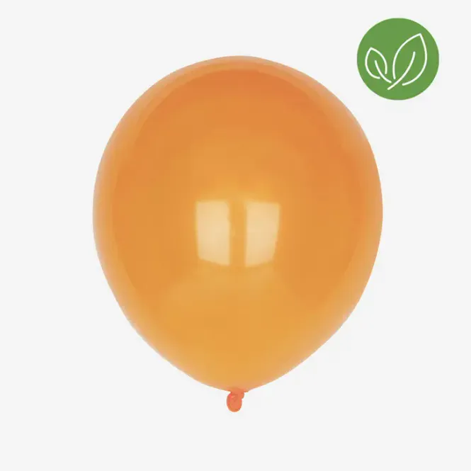 Hovedbilde Plastfrie ballonger, 10 stk Orange / My Little Day