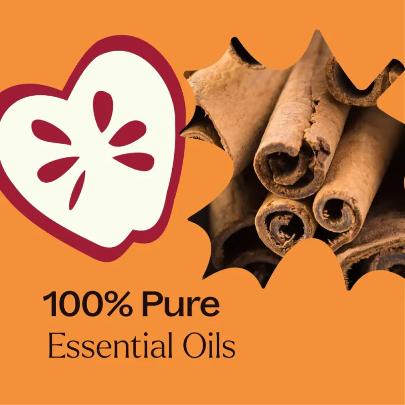 Pumpkin Spice Essential Oil Blend 10 ml | Plant Therapy