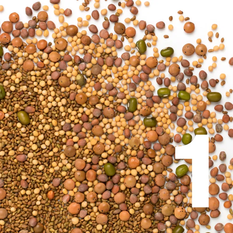 Sprout Huggers® Spirelokk, Sage Green / Food Huggers