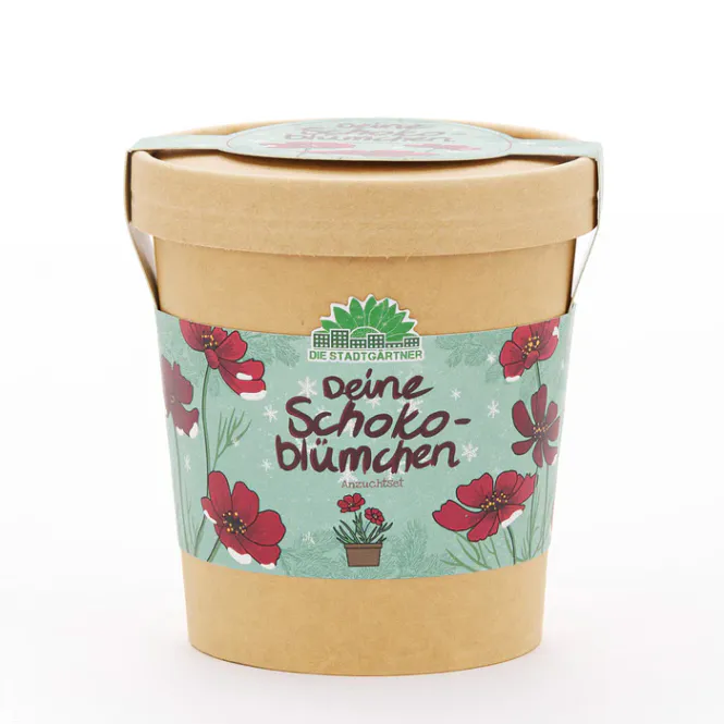 Hovedbilde Chocolate Flower Growing Kit / Die Stadtgärtner
