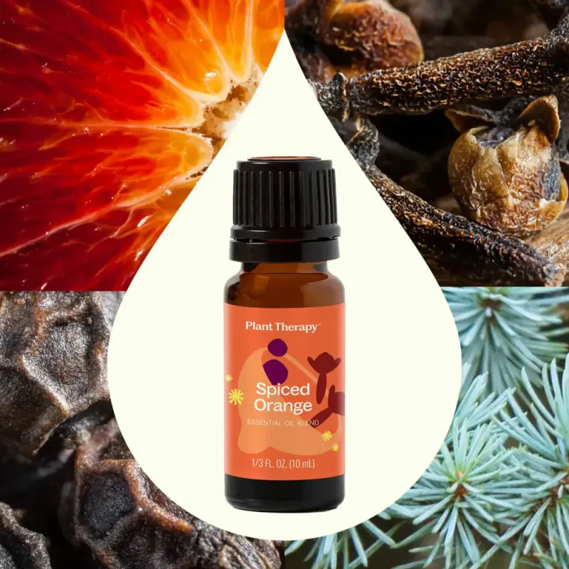 Spiced Orange eterisk oljeblanding 10 ml / Plant Therapy